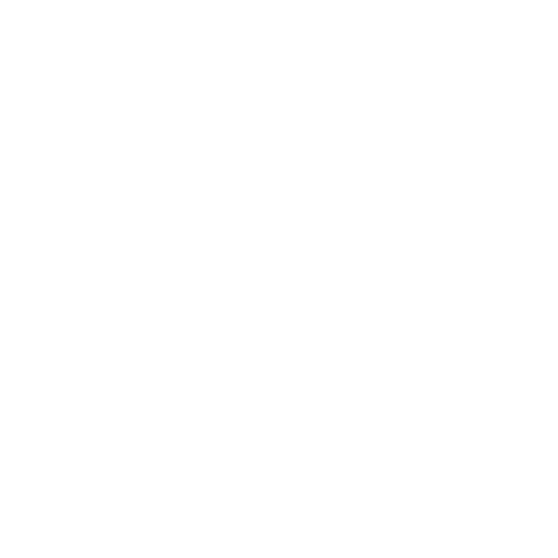 Fly Logo