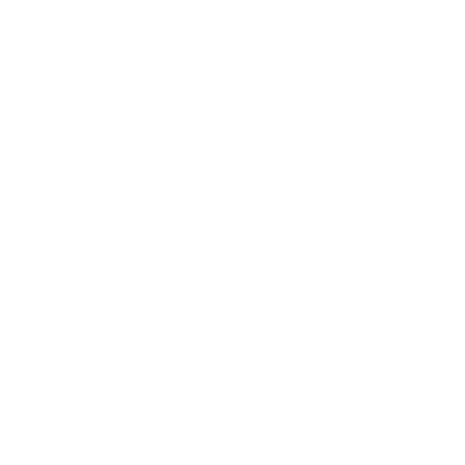 Stussy Logo