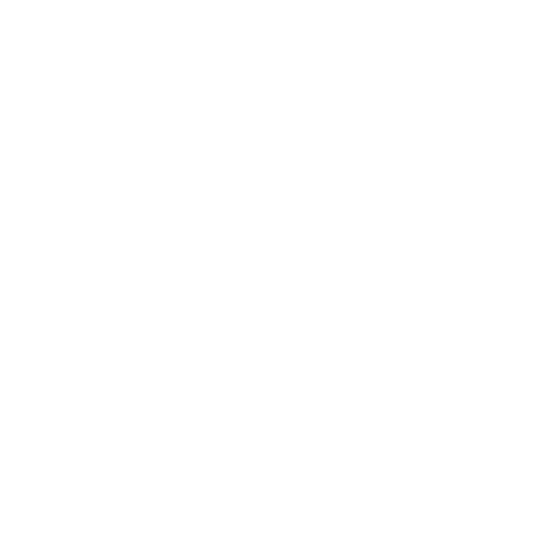 ANETIK Logo