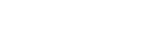 Web store creation and management